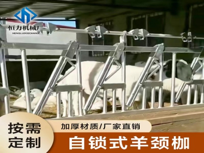 規(guī)模養(yǎng)殖為什么要使用羊頸夾 