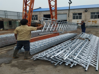 羊頸夾發(fā)貨現(xiàn)場