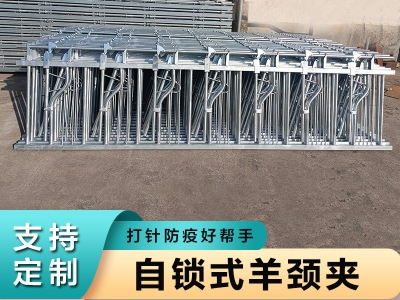 羊場多功能隔欄奶山羊頸夾