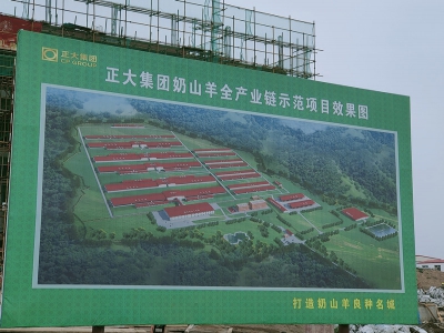 寶雞千陽(yáng)縣：以奶山羊產(chǎn)業(yè)鏈發(fā)展助力鄉(xiāng)村振興