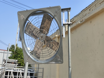 牛舍風(fēng)機(jī)科學(xué)養(yǎng)殖的隱形衛(wèi)士