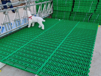 塑料漏糞板的日常清潔和維護(hù),延長(zhǎng)使用壽命