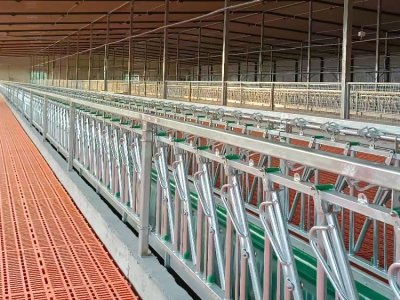 自鎖式羊頸夾與普通羊頸夾相比，在實(shí)際養(yǎng)殖作業(yè)中的優(yōu)勢(shì)