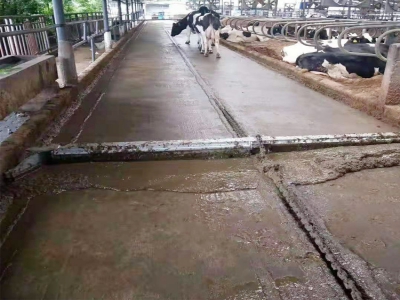 牛場清糞機(jī)維護(hù)保養(yǎng)要點(diǎn)