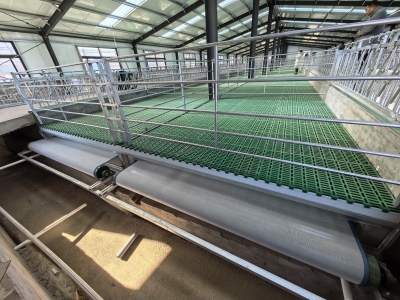 萬(wàn)頭羊場(chǎng)為何選擇羊糞輸送帶